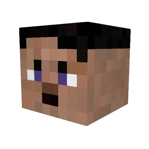 Noa_5210 Minecraft avatar head, 3D render