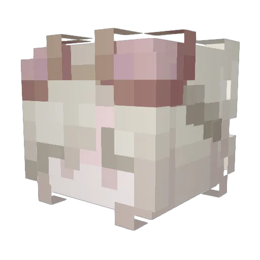 Noa_619 Minecraft avatar head, 3D render