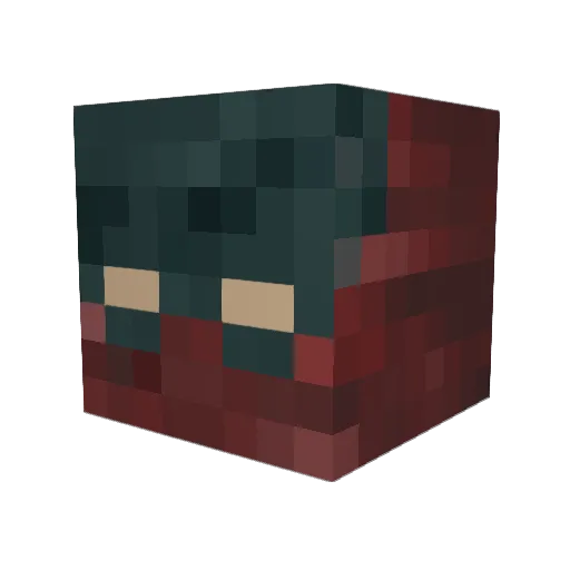 Noachis4271 Minecraft avatar head, 3D render