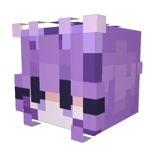 Noag0611 Minecraft avatar head, 3D render