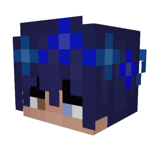 Noah0827 Minecraft avatar head, 3D render
