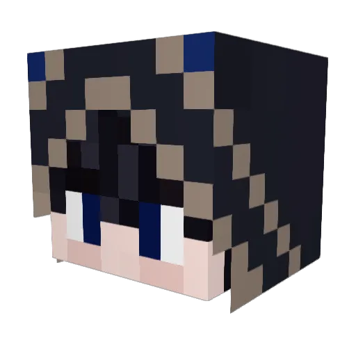 Noah10401 Minecraft avatar head, 3D render