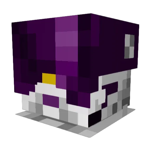Noah200429 Minecraft avatar head, 3D render
