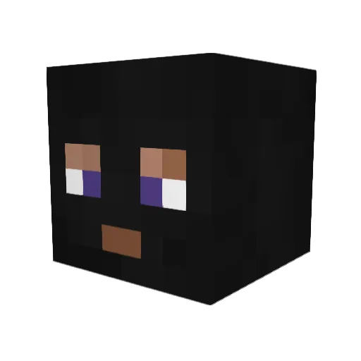 Noah2424 Minecraft avatar head, 3D render