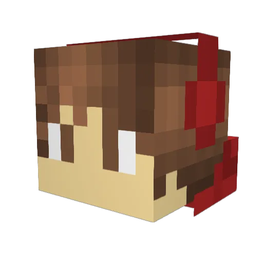 Noah275 Minecraft avatar head, 3D render