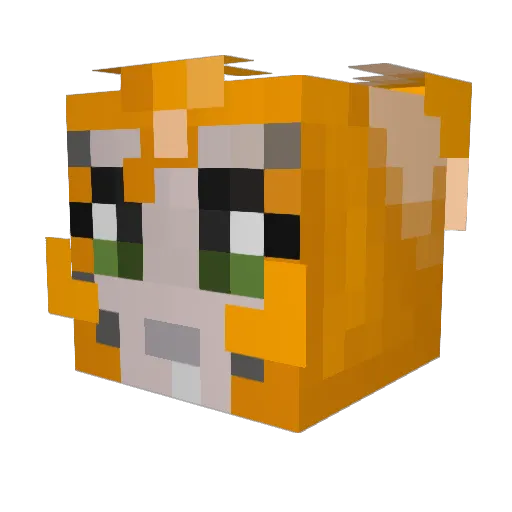 Noah2912 Minecraft avatar head, 3D render