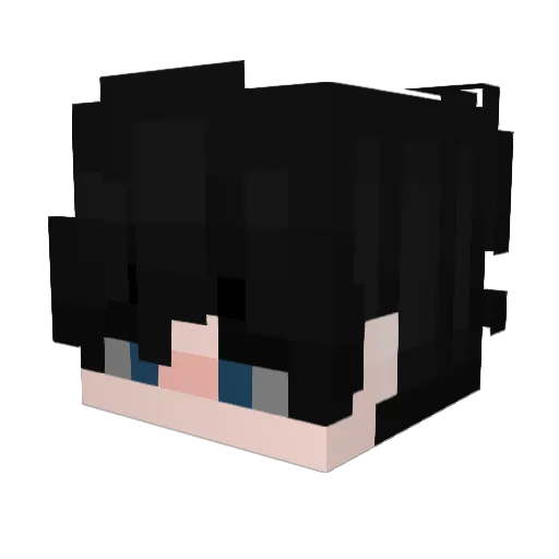 Noah40444 Minecraft avatar head, 3D render