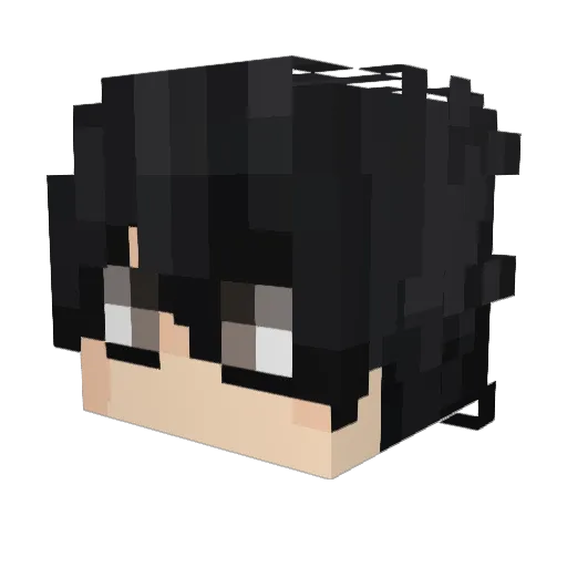 Noah6483 Minecraft avatar head, 3D render