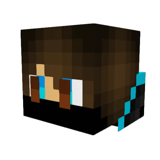 Noah6778 Minecraft avatar head, 3D render