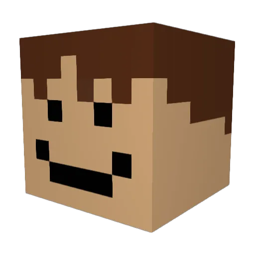 Noah846 Minecraft avatar head, 3D render