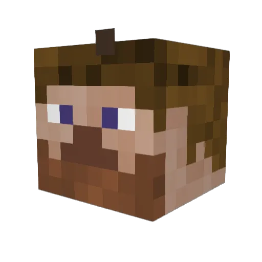 Noah8783 Minecraft avatar head, 3D render