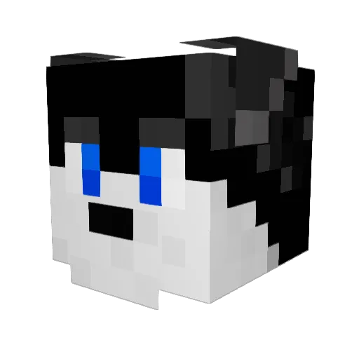 Noah958 Minecraft avatar head, 3D render