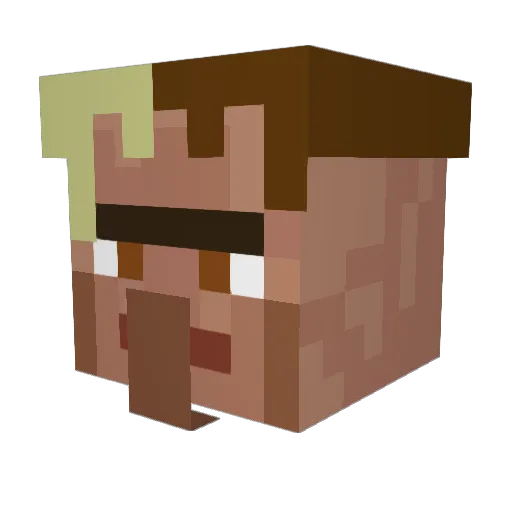 NoahA2006 Minecraft avatar head, 3D render