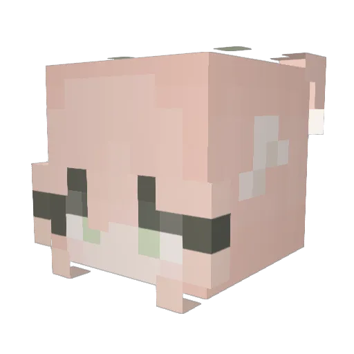 NoahAT_ Minecraft avatar head, 3D render