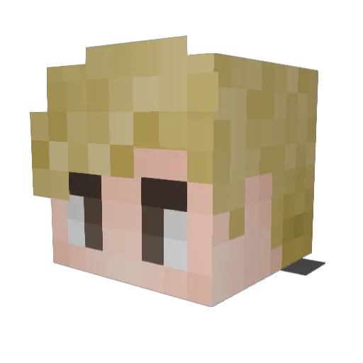 NoahAry Minecraft avatar head, 3D render