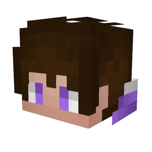 NoahBSTX Minecraft avatar head, 3D render