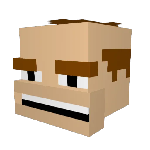 NoahBoah01 Minecraft avatar head, 3D render