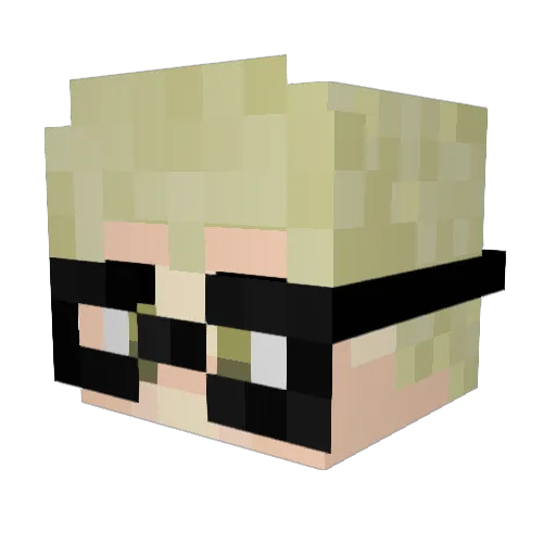 NoahBoahCoah Minecraft avatar head, 3D render