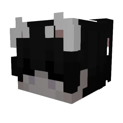 NoahBoahRox Minecraft avatar head, 3D render