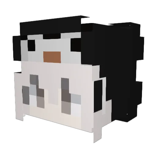 NoahBoi07 Minecraft avatar head, 3D render