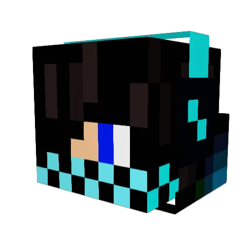 NoahCoolboy Minecraft avatar head, 3D render