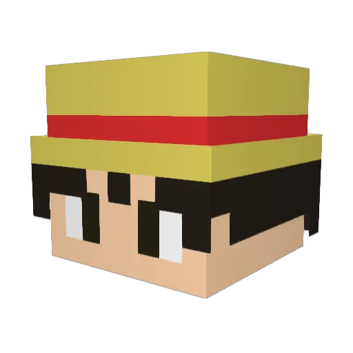 NoahD360 Minecraft avatar head, 3D render