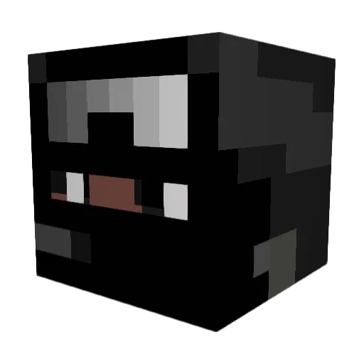 NoahDaniel1234 Minecraft avatar head, 3D render