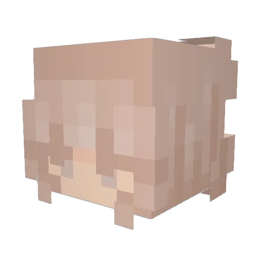 NoahDiazYTF Minecraft avatar head, 3D render