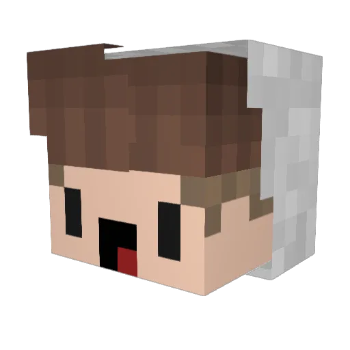 NoahErik Minecraft avatar head, 3D render
