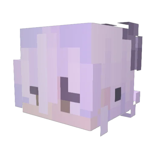 NoahFang2 Minecraft avatar head, 3D render