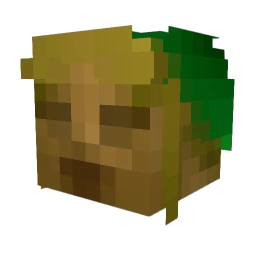 NoahForPrezzy Minecraft avatar head, 3D render