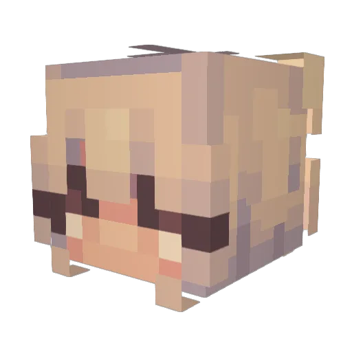 NoahGamingTV Minecraft avatar head, 3D render