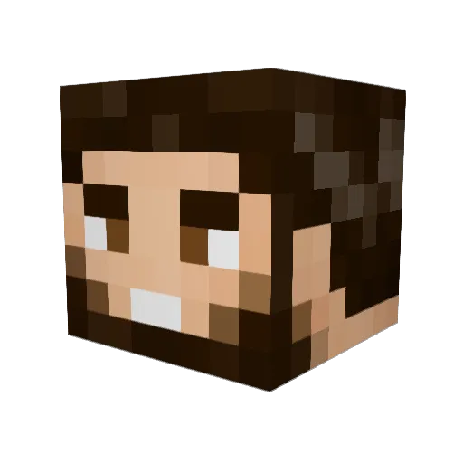 NoahHasMinecraft Minecraft avatar head, 3D render