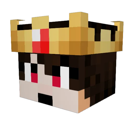 NoahJames02 Minecraft avatar head, 3D render