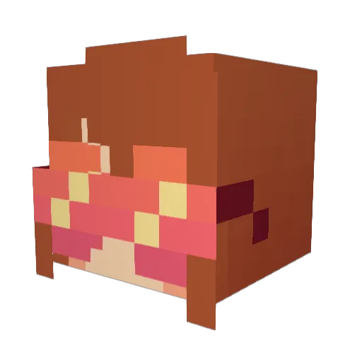 NoahJas2432 Minecraft avatar head, 3D render
