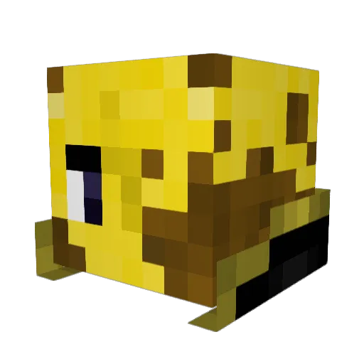 NoahJpeg Minecraft avatar head, 3D render