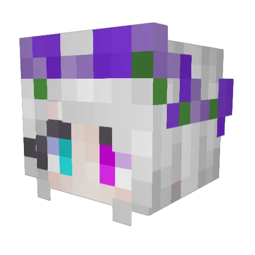 NoahKun972 Minecraft avatar head, 3D render