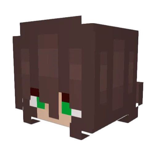 NoahNotFound Minecraft avatar head, 3D render