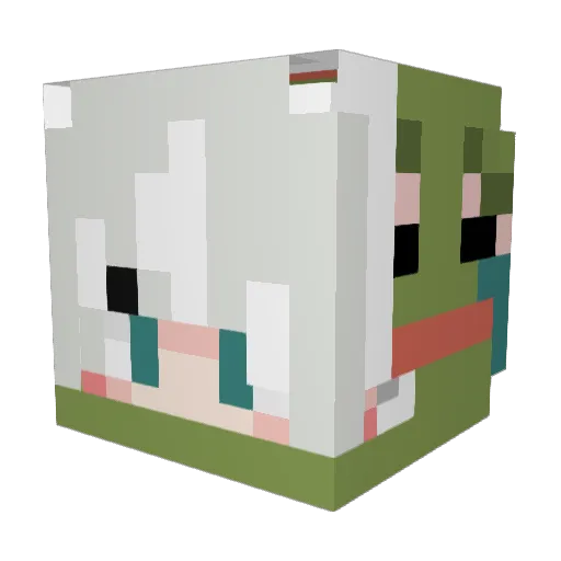NoahNotes Minecraft avatar head, 3D render