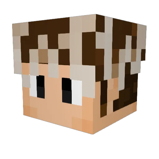 NoahPoah8 Minecraft avatar head, 3D render