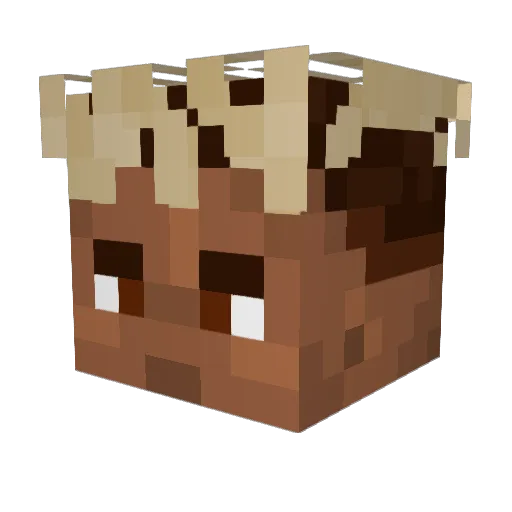 NoahRislingg Minecraft avatar head, 3D render