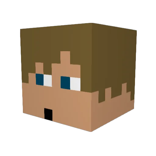 NoahSK23 Minecraft avatar head, 3D render