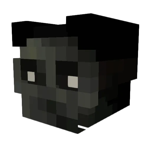 NoahSport Minecraft avatar head, 3D render