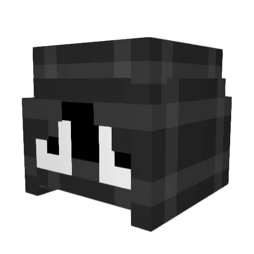 NoahTheBoatGuy Minecraft avatar head, 3D render