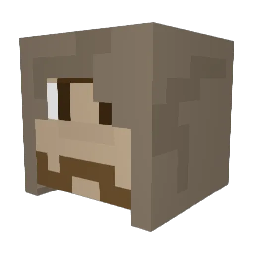 NoahTheCaveman Minecraft avatar head, 3D render