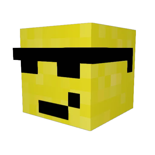 NoahTheGamer48 Minecraft avatar head, 3D render