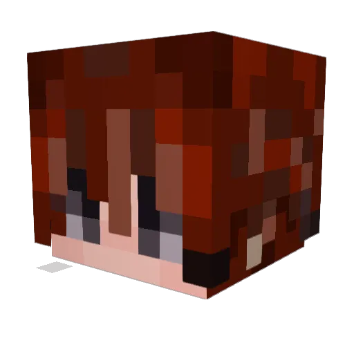 NoahTheMongoose Minecraft avatar head, 3D render