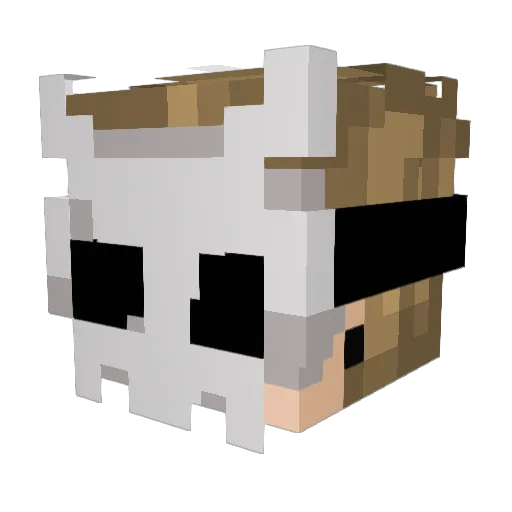 NoahTheNobody00 Minecraft avatar head, 3D render