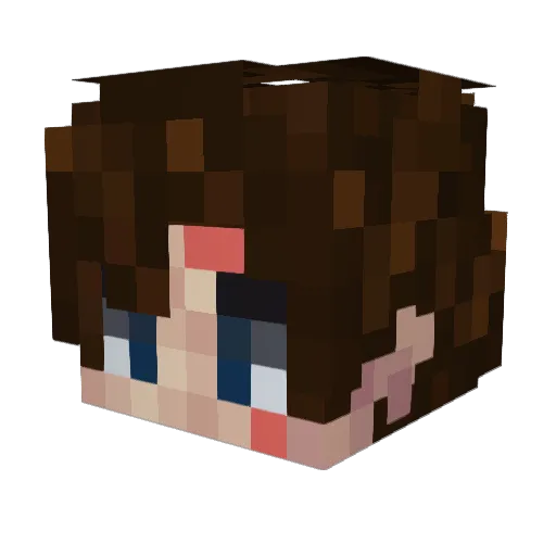 NoahUltraVirg Minecraft avatar head, 3D render