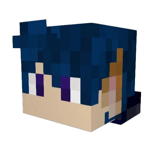 Noah_17 Minecraft avatar head, 3D render